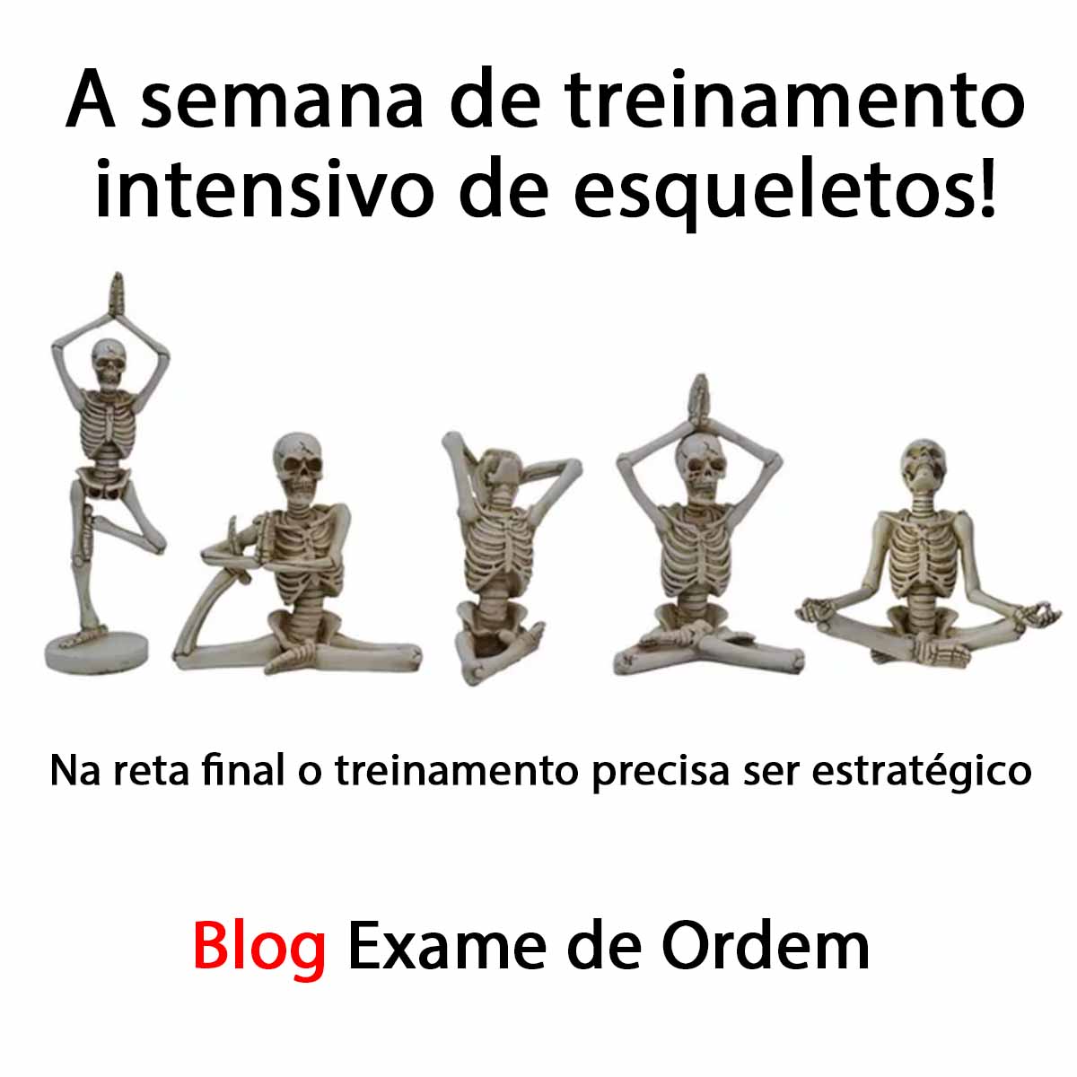 A semana de treinamento intensivo de esqueletos!