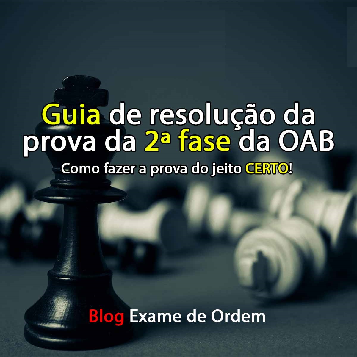 Confiram a ntegra do Guia de Resoluo da Prova da 2 fase da OAB