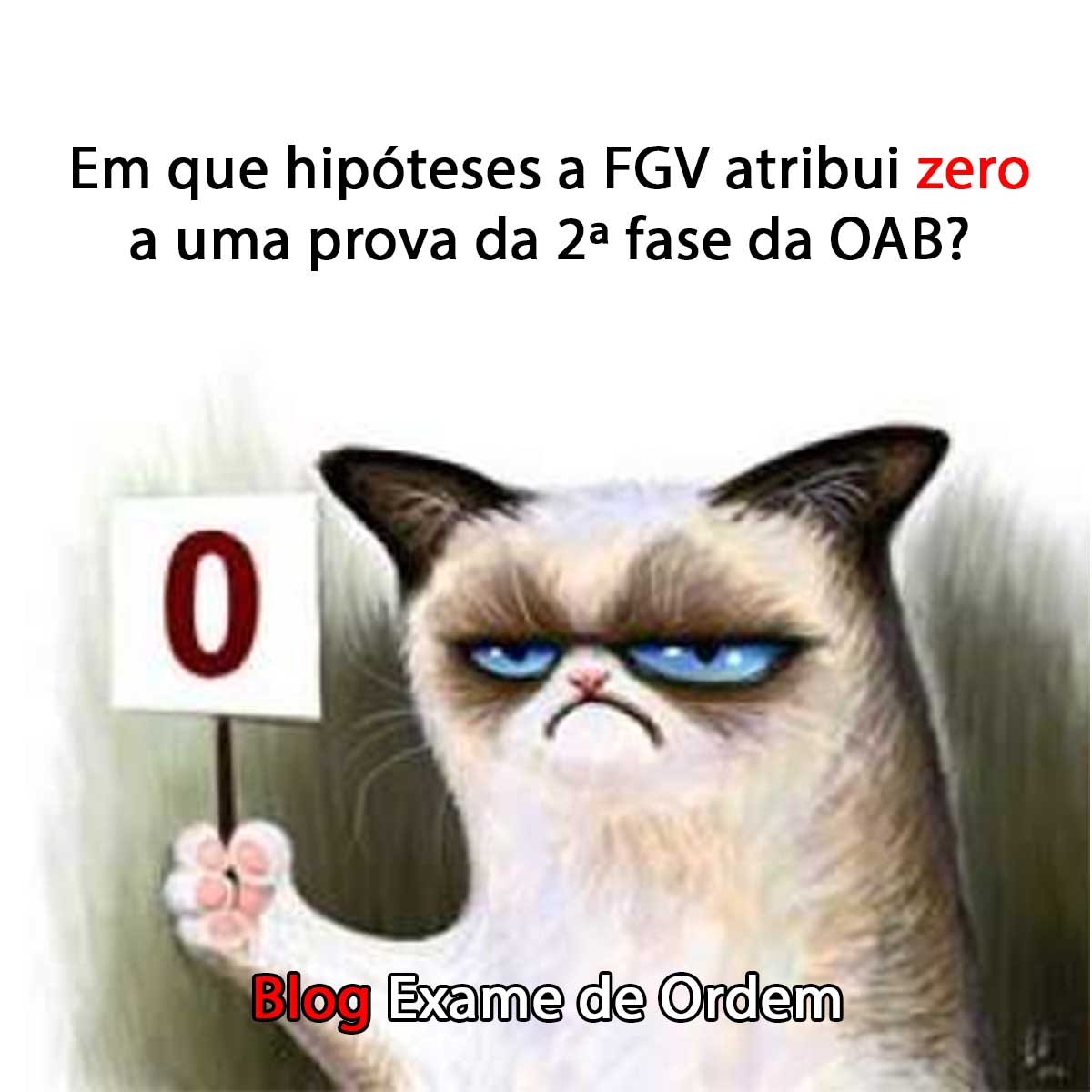 Em que hipteses a FGV atribui zero a uma prova da 2 fase da OAB?