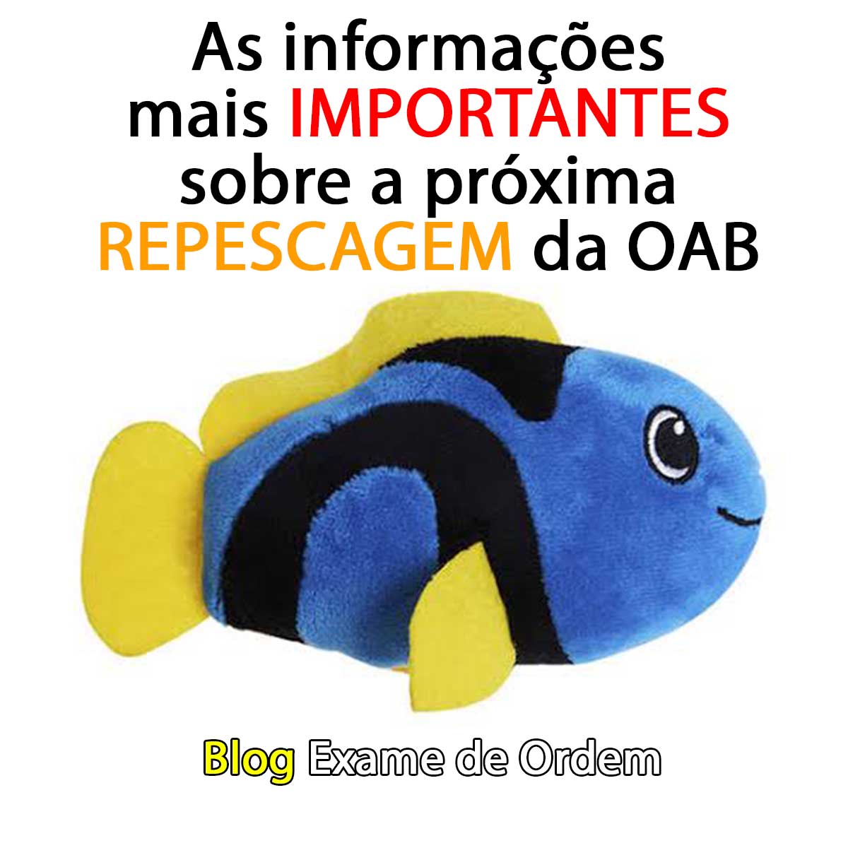 As informaes mais importantes sobre a prxima repescagem da OAB