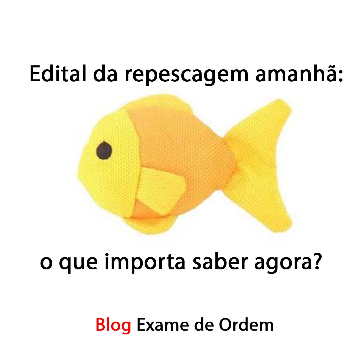 Edital da repescagem amanh: o que importa saber agora?