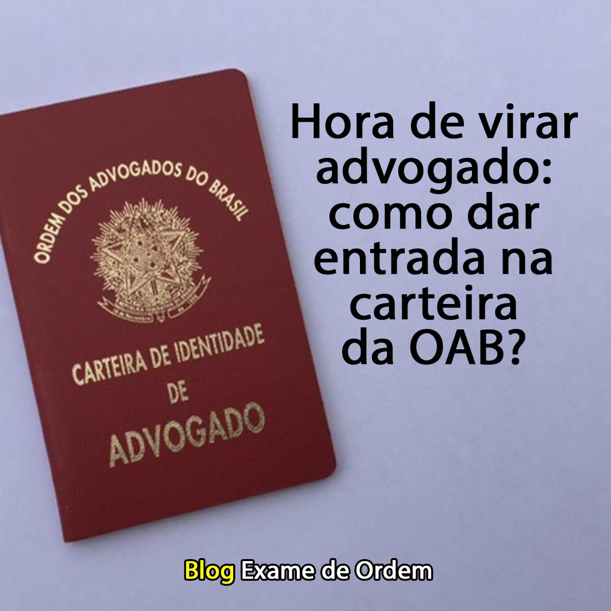 Hora de dar entrada na carteira da OAB!