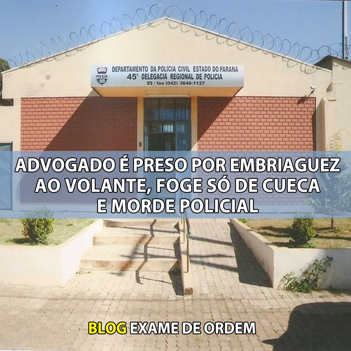 Advogado  preso por embriaguez ao volante, foge s de cueca e morde policial