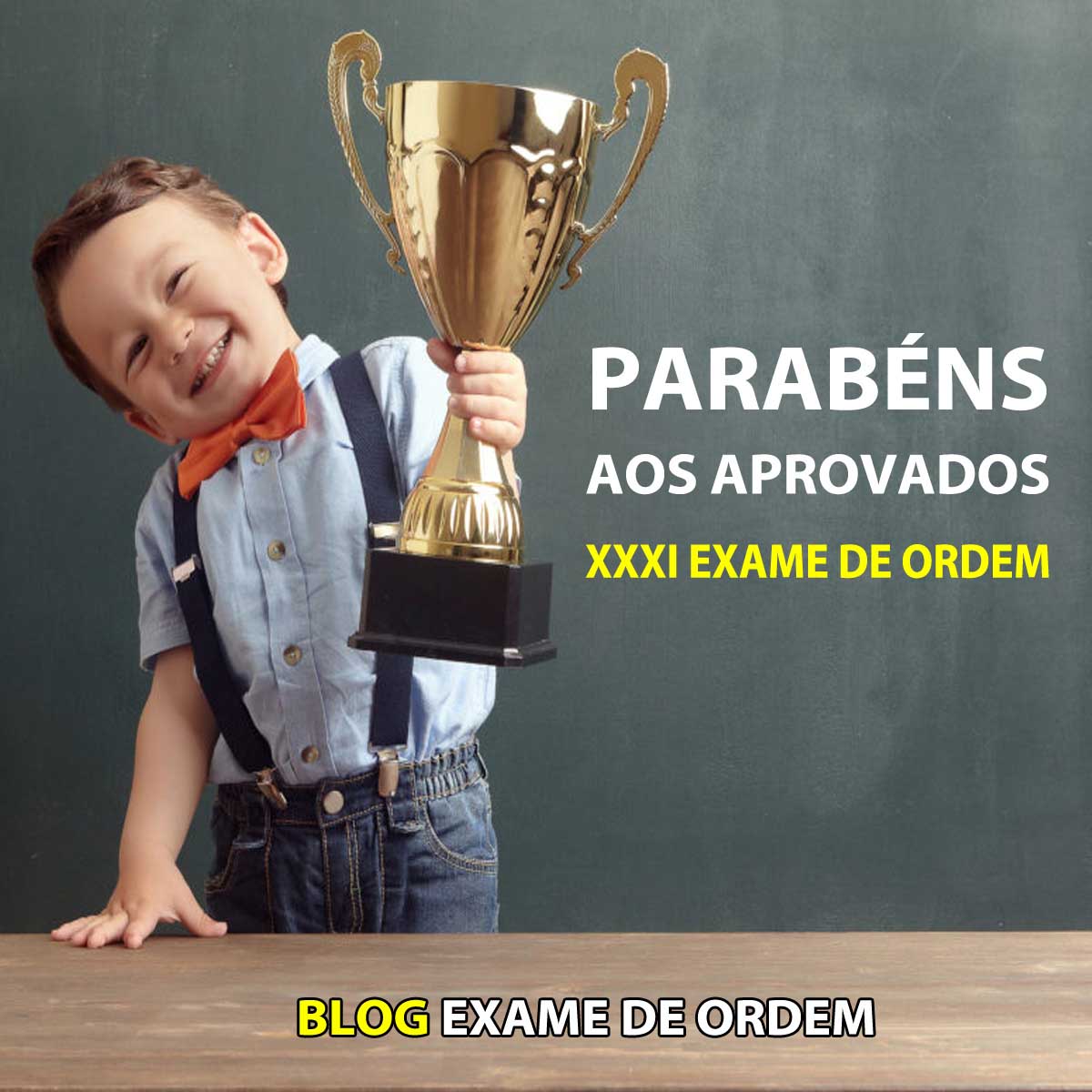 Parabns aos aprovados na 1 fase do XXXI Exame de Ordem!