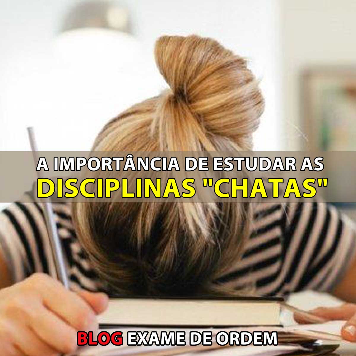 A importncia de estudar as disciplinas 