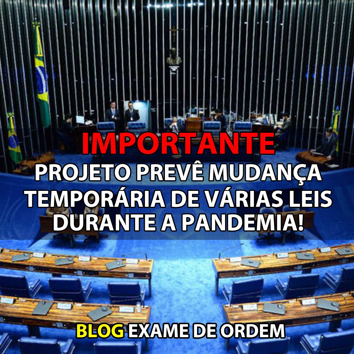 IMPORTANTE: Projeto prev mudana temporria de vrias leis durante a pandemia!