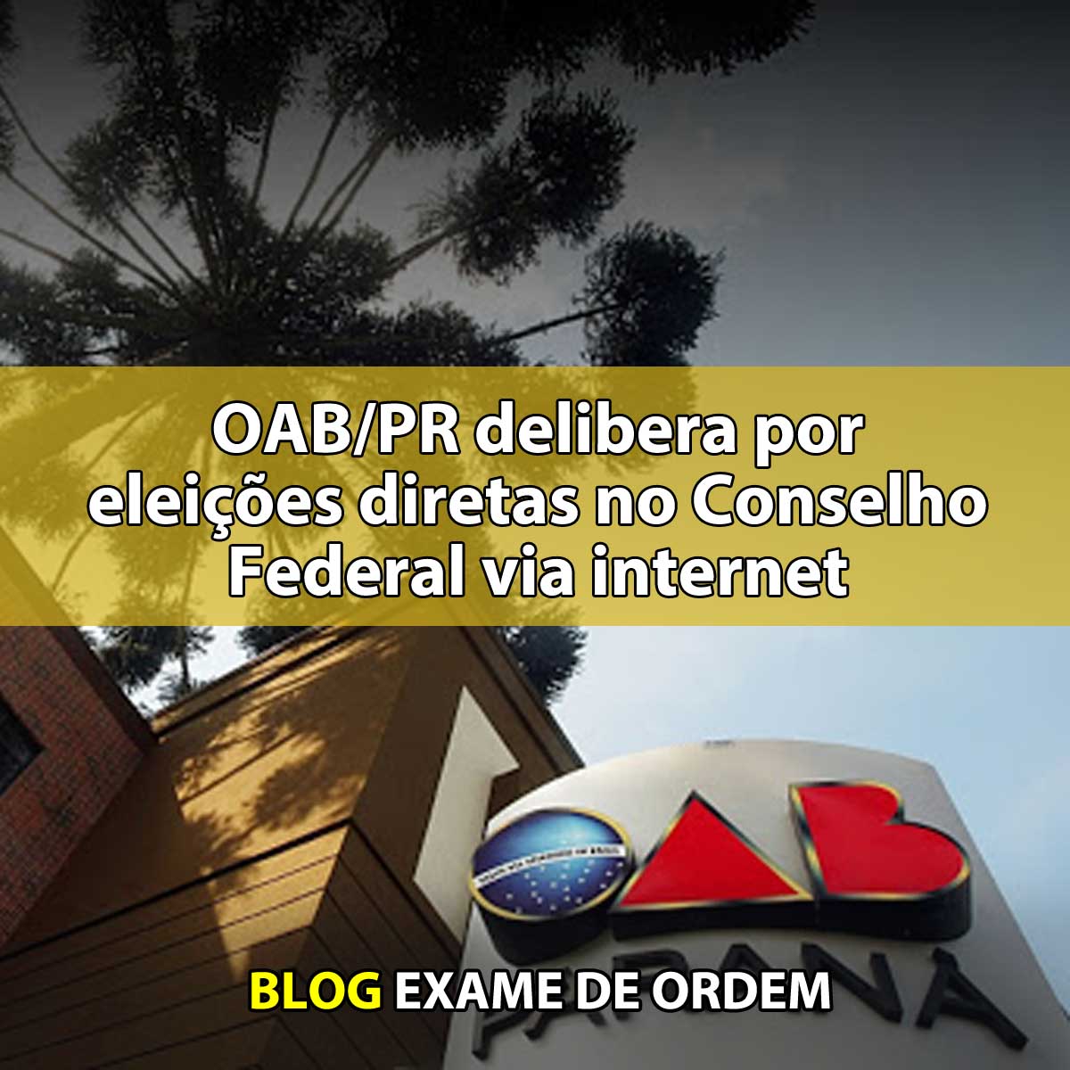 OAB/PR delibera por eleies diretas no Conselho Federal via internet