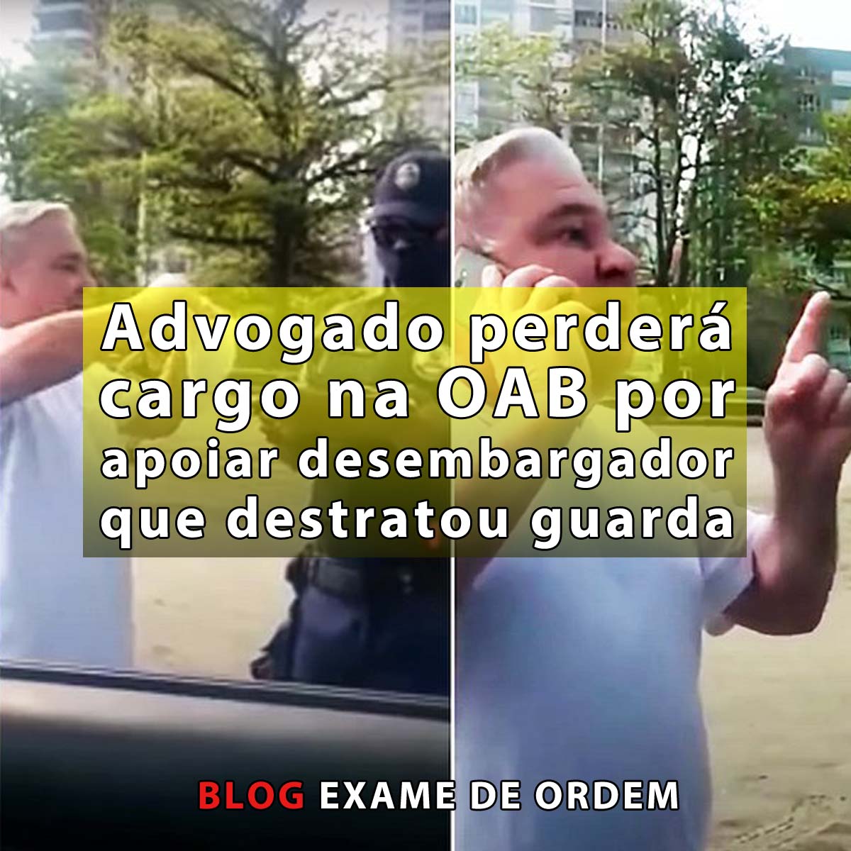 Advogado perder cargo na OAB por apoiar desembargador que destratou guarda