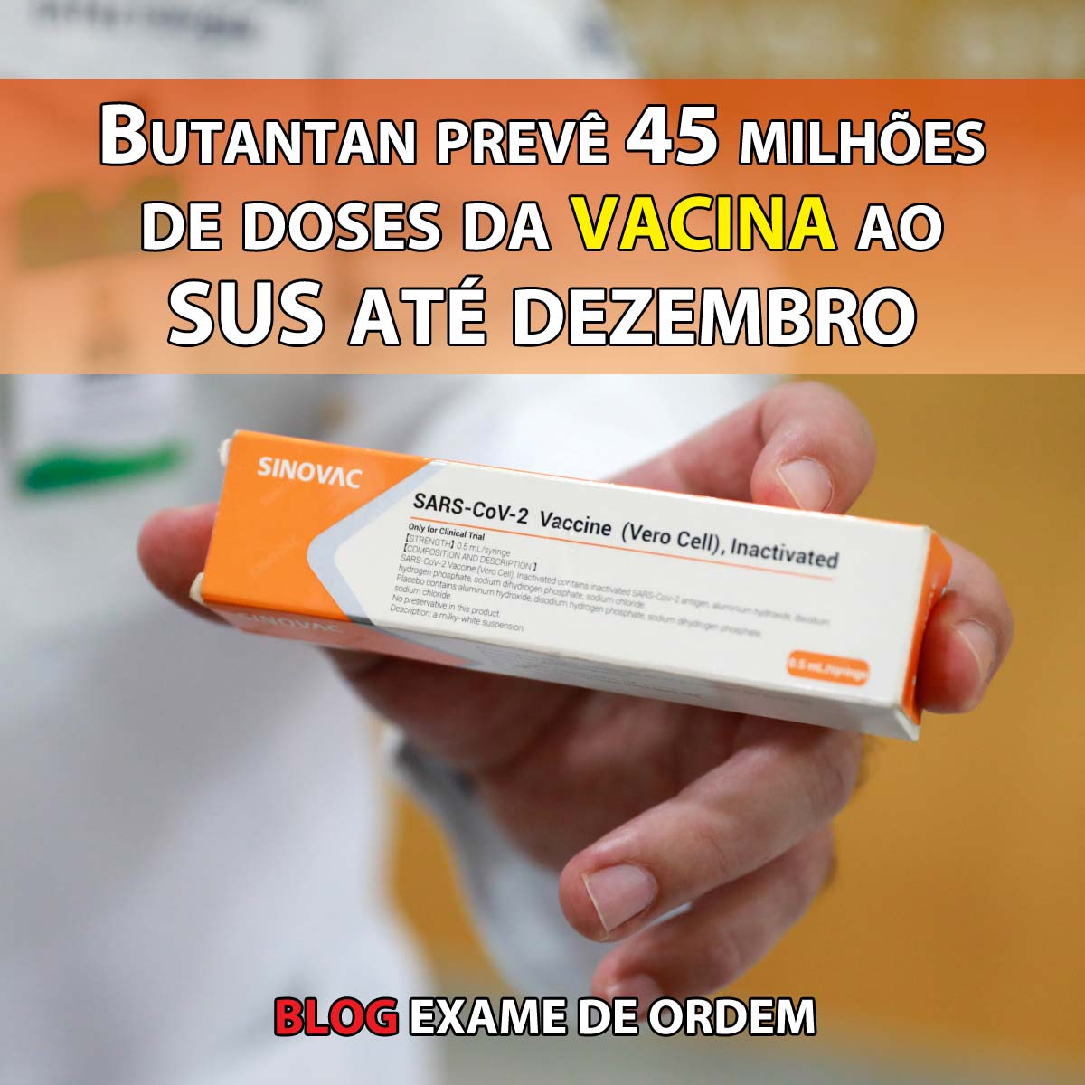 Butantan prev 45 milhes de doses da vacina ao SUS at dezembro