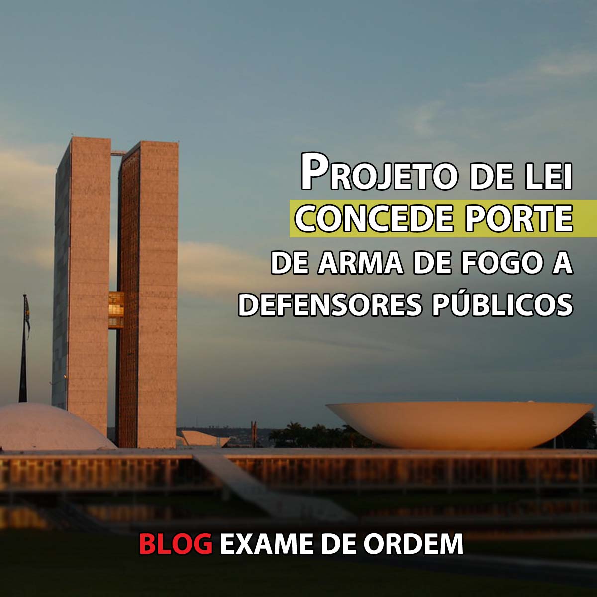 Projeto de lei concede porte de arma de fogo a defensores pblicos