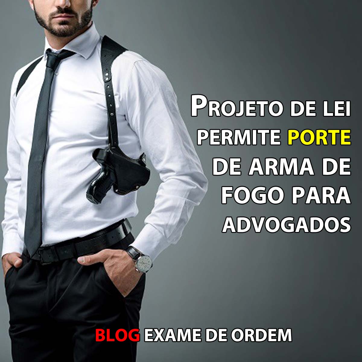 Projeto de lei permite porte de arma de fogo para advogados