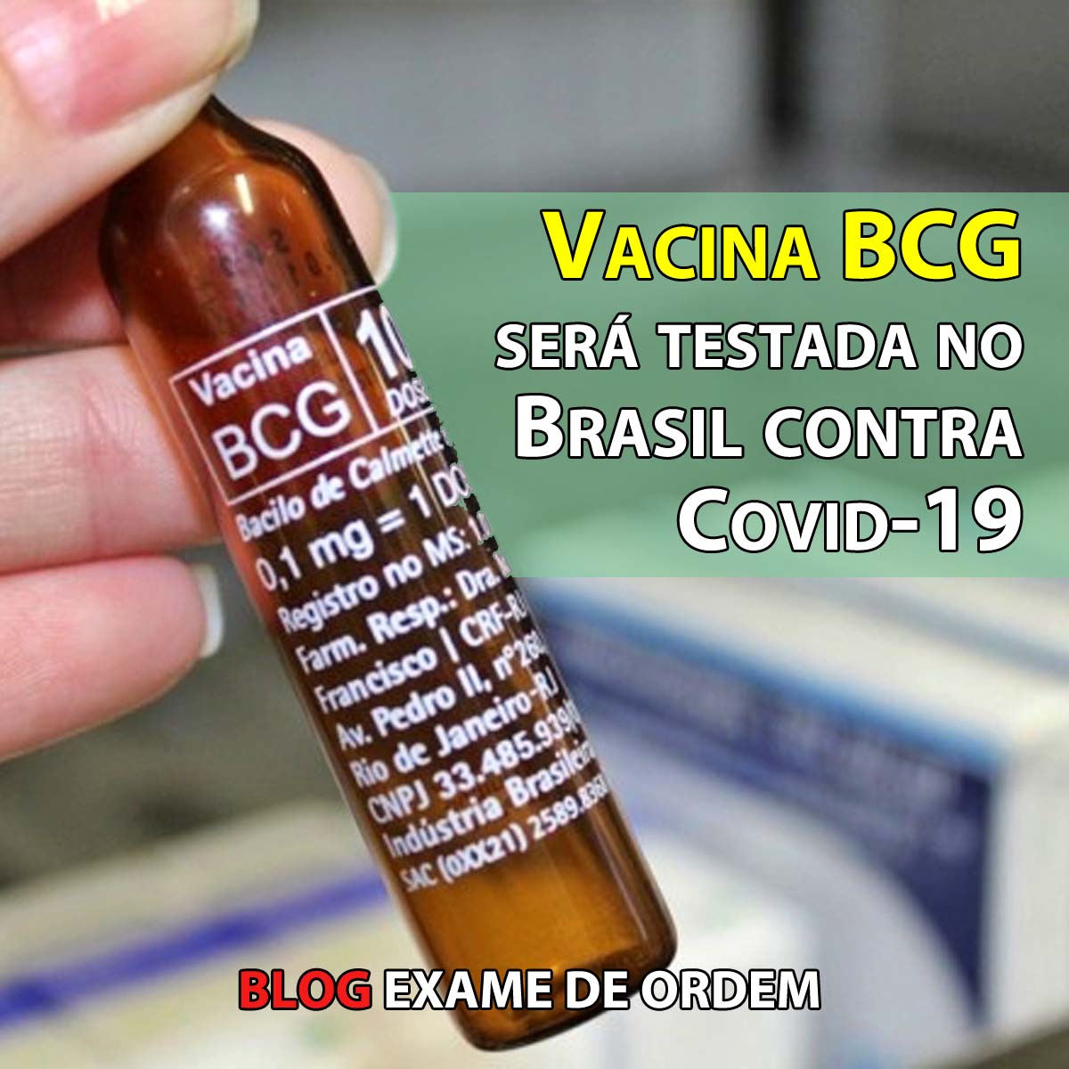 Vacina BCG ser testada no Brasil contra Covid-19