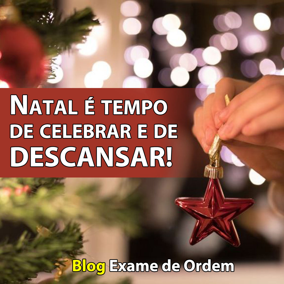 Natal  tempo de celebrar e de DESCANSAR!