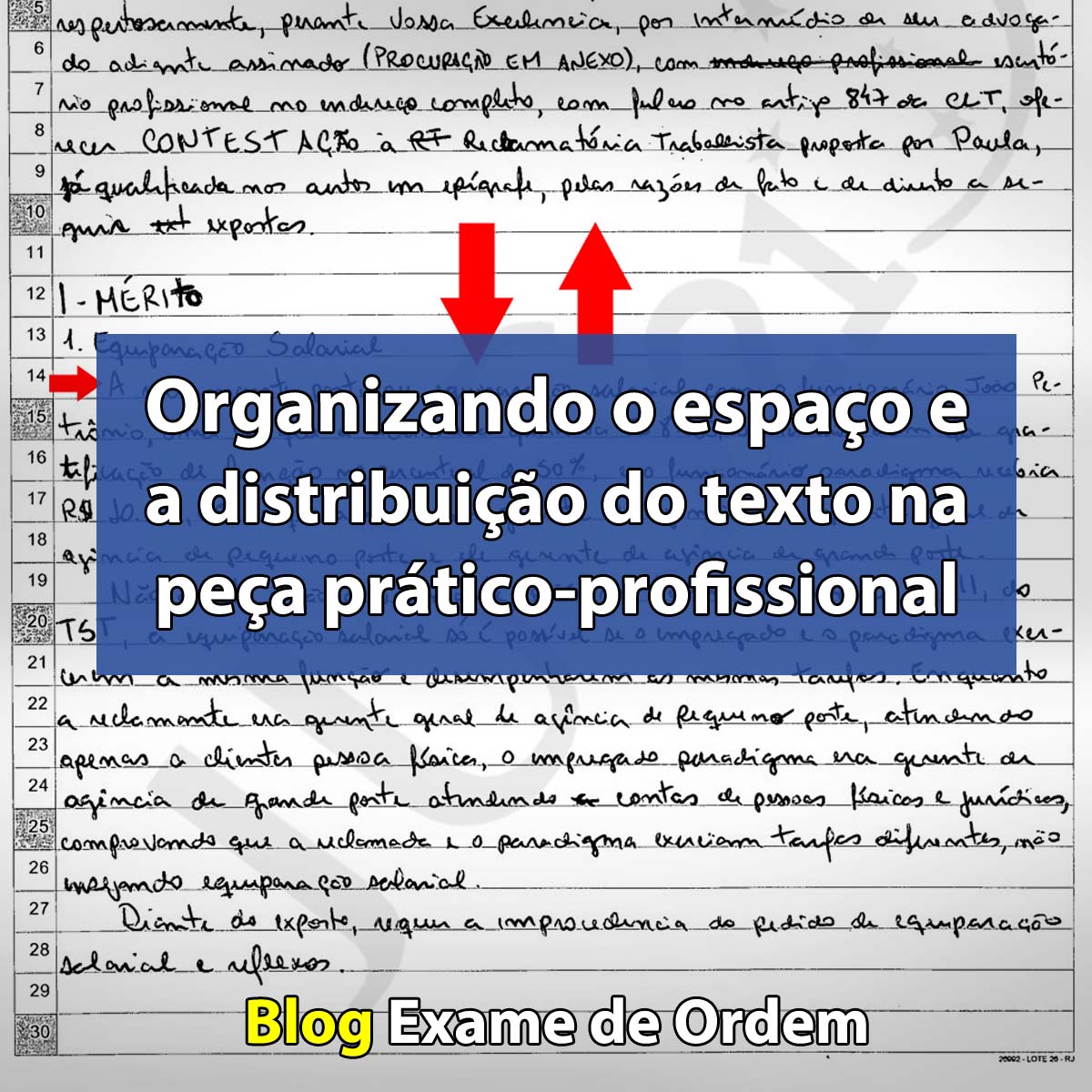 Organizando o espao e a distribuio do texto na pea prtico-profissional