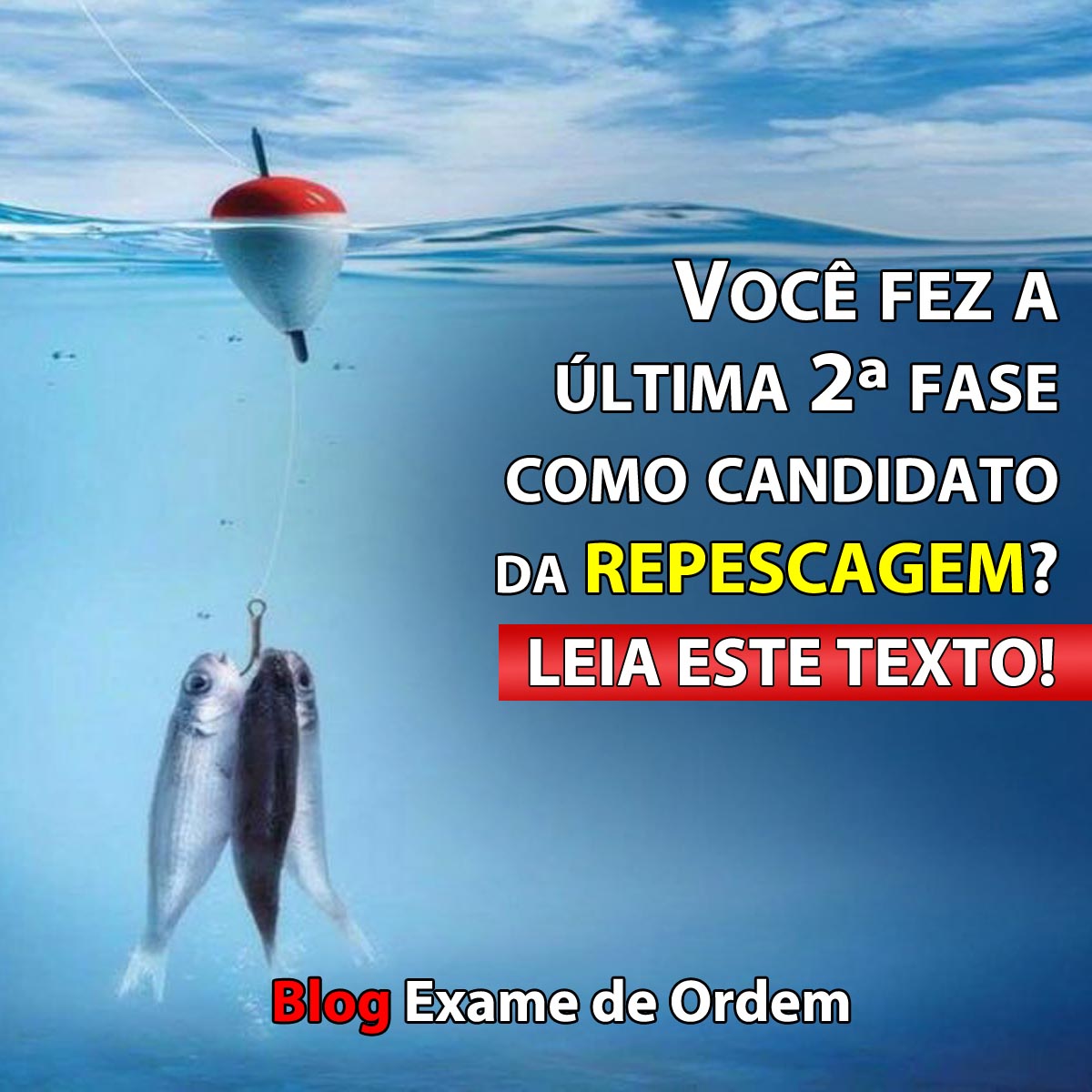 Voc fez a ltima 2 fase como candidato da REPESCAGEM? Leia este texto!