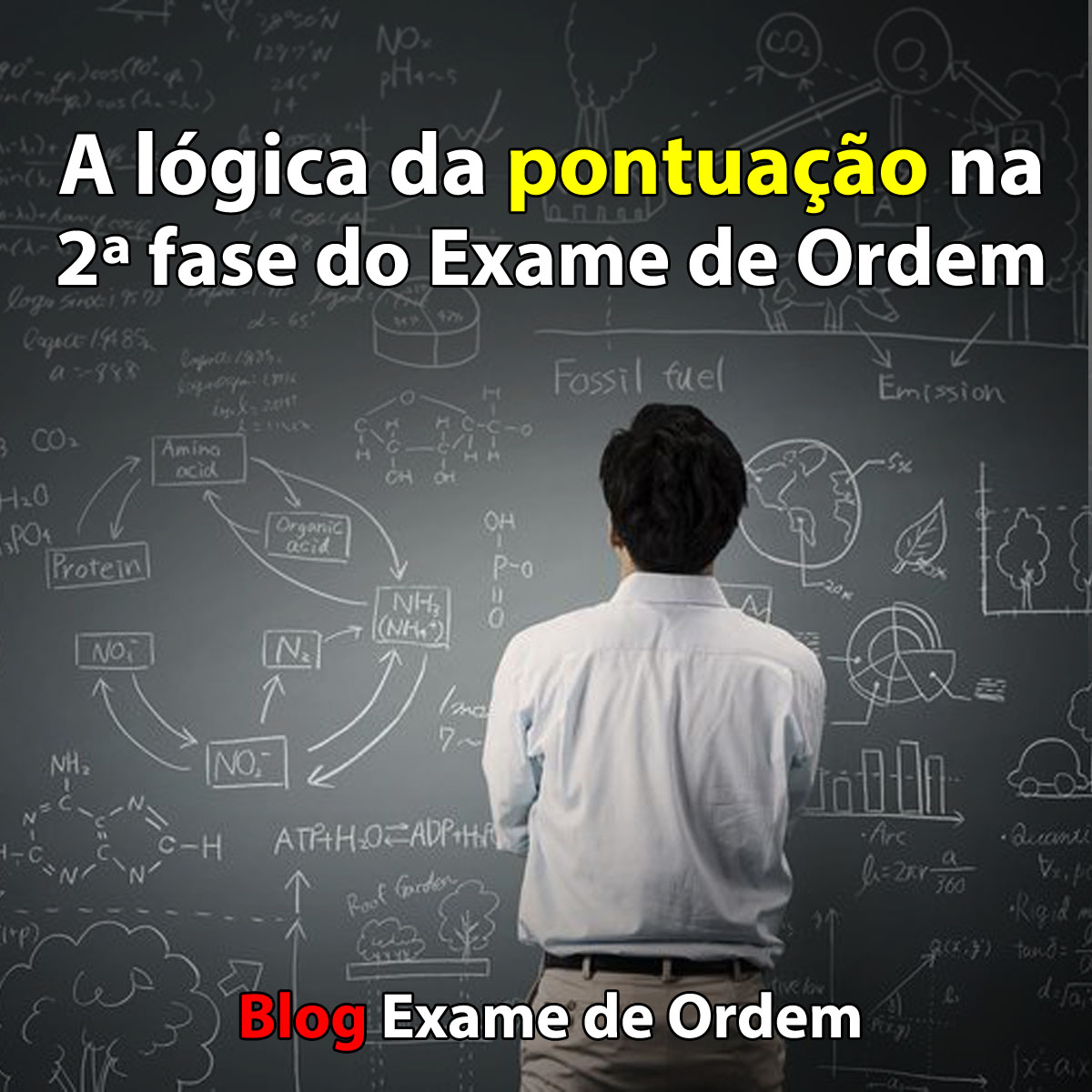 A lgica da pontuao na 2 fase do Exame de Ordem