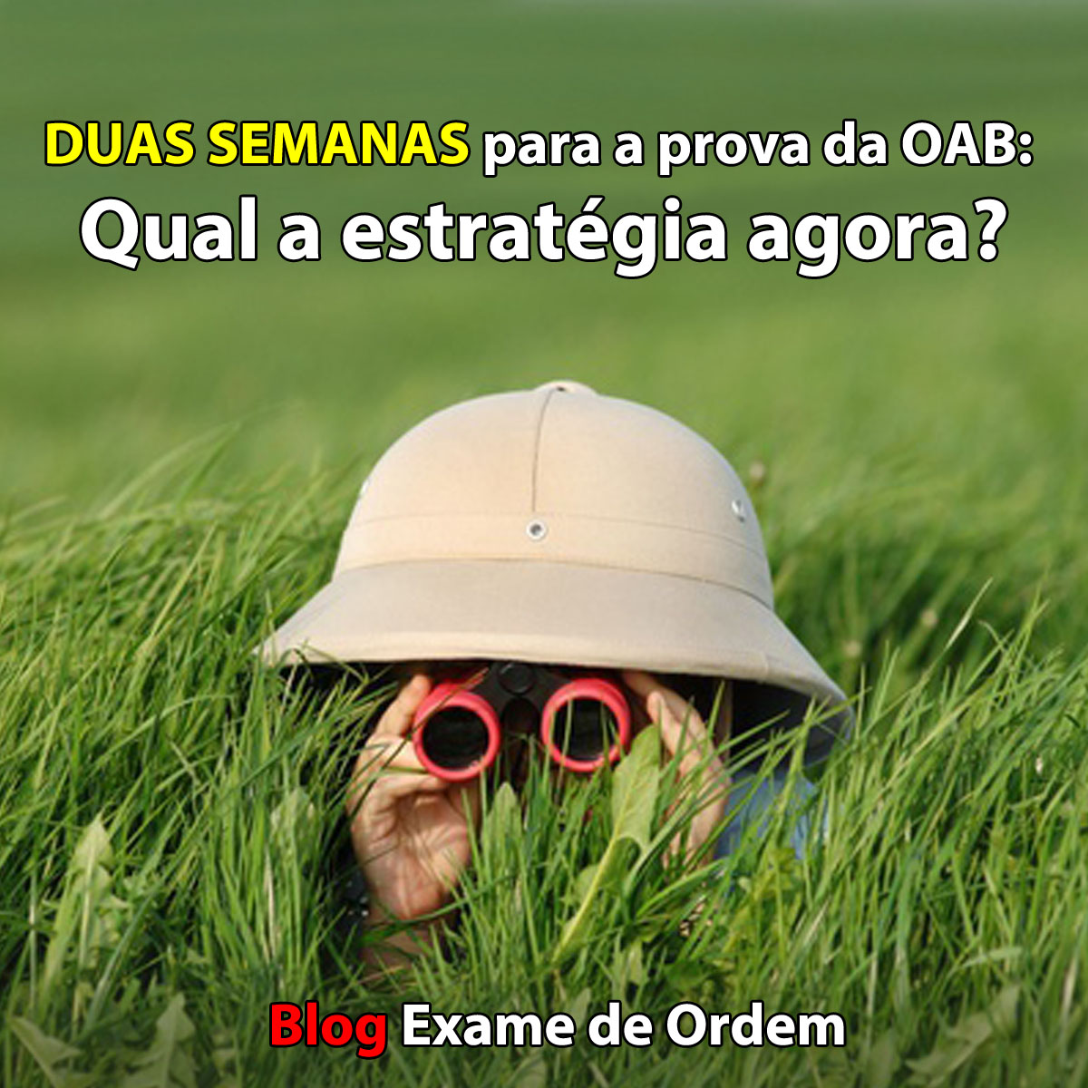 Duas semanas para a prova da OAB: Qual a estratgia agora?