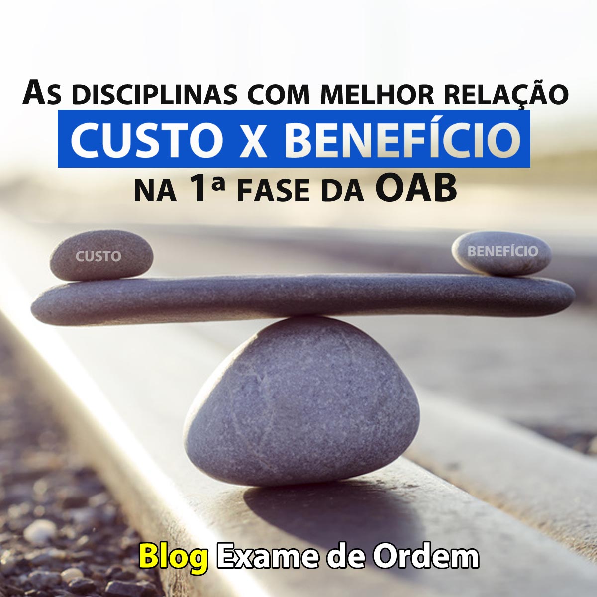 As disciplinas com melhor relao custo X benefcio na 1 fase da OAB