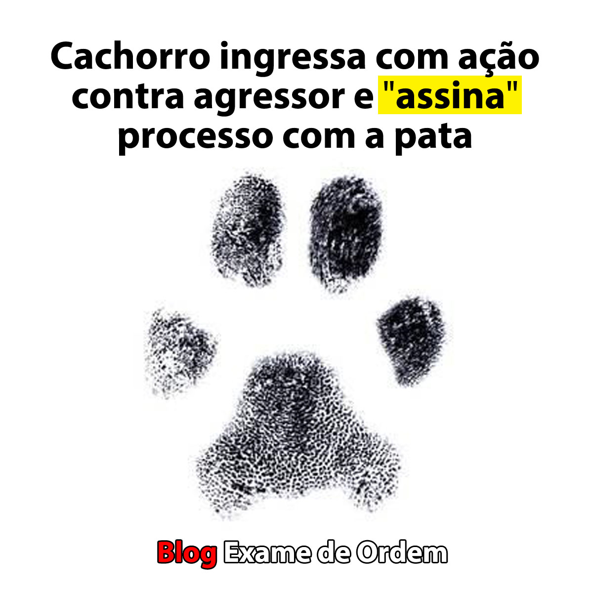 Cachorro ingressa com ao contra agressor e 