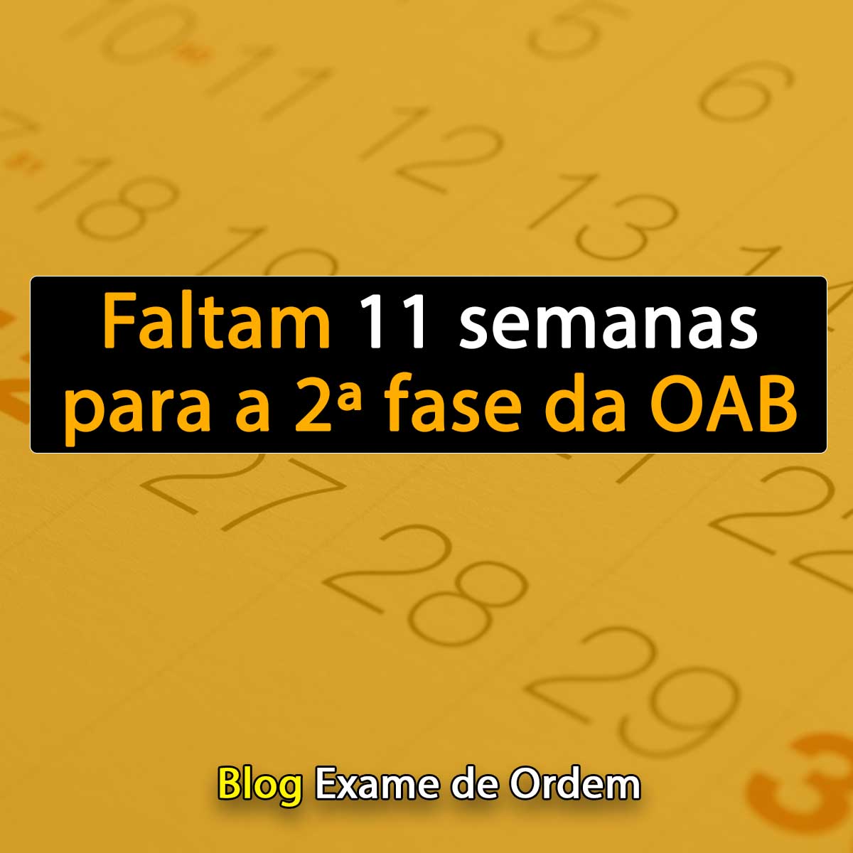 Faltam 11 semanas para a 2 fase da OAB