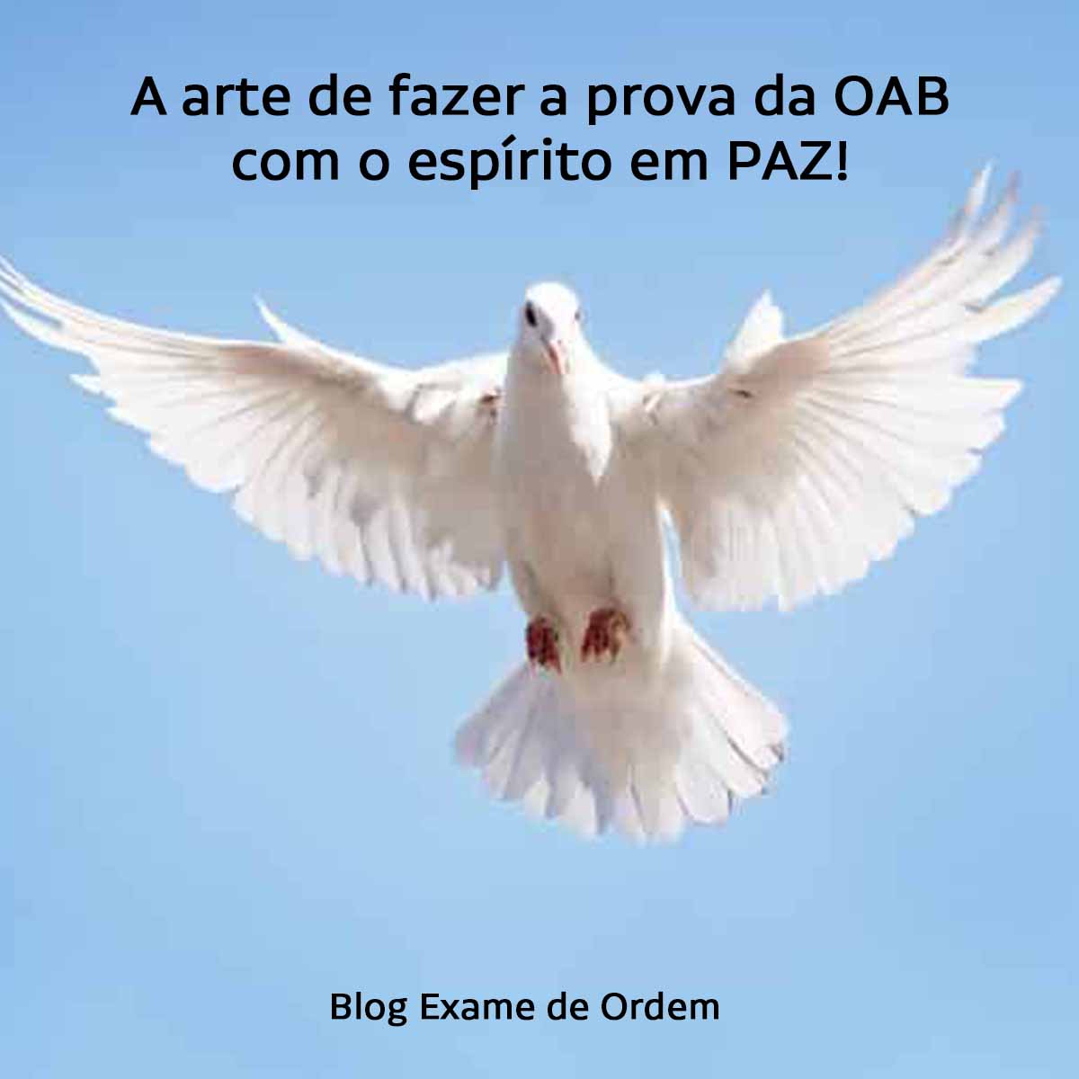 A arte de fazer a prova da OAB com o esprito em PAZ!