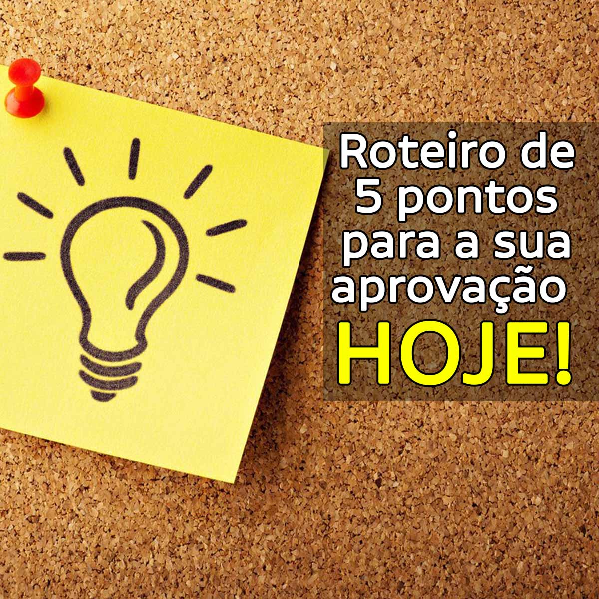 Roteiro de 5 pontos para a sua aprovao hoje!