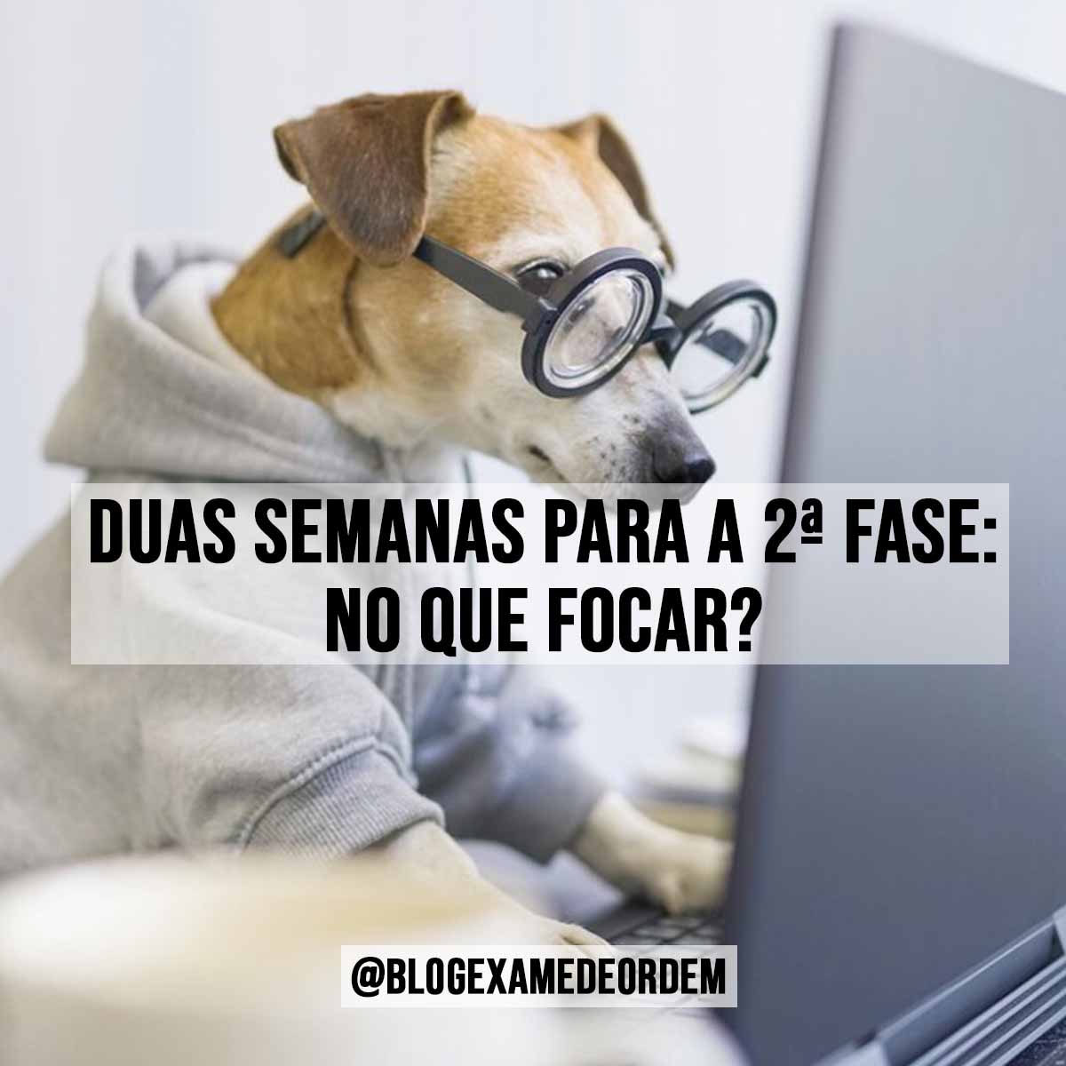 Duas semanas para a 2 fase: no que focar?